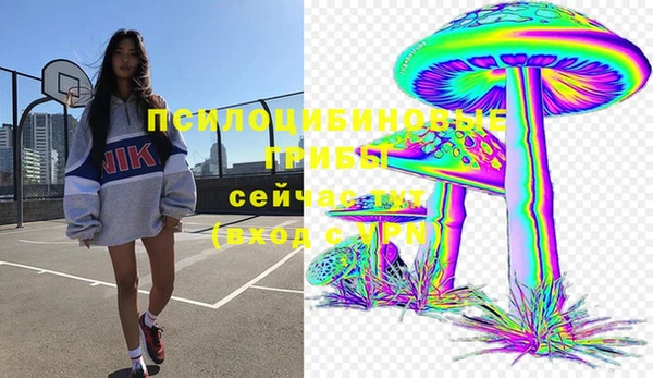 дурь Аркадак
