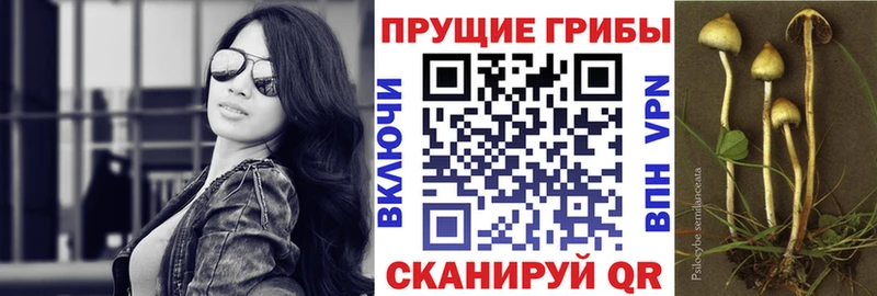 Галлюциногенные грибы мухоморы  Купить закладки  Сухиничи 